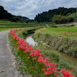 秋ですね